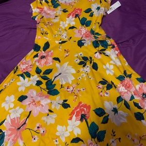 Girl's dress